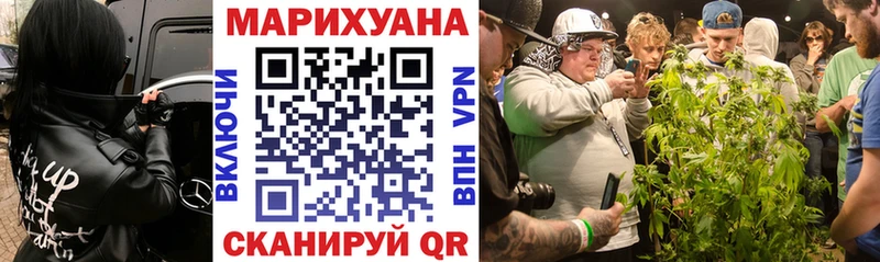 Бошки марихуана тримм  OMG ссылки  нарко площадка как зайти  Щигры 